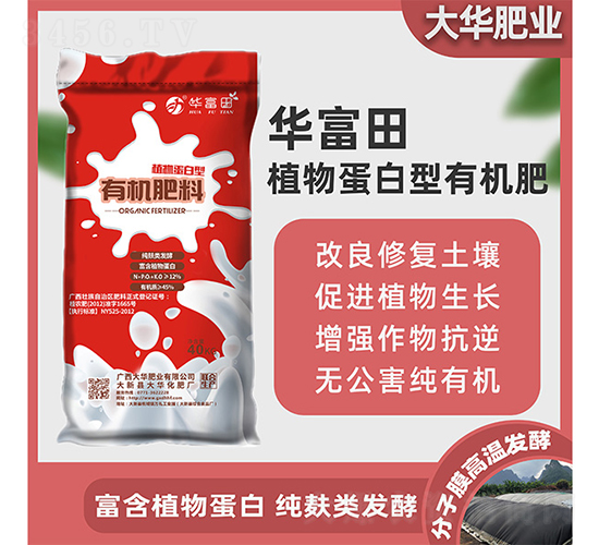 ֲ�ﵰ�����ЙC(j��)����-�A����-���A�ʘI(y��)