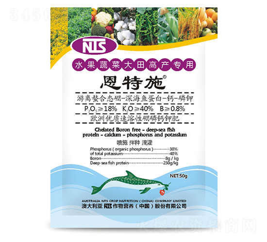 ˮ���߲˴���߮a����-����ʩ