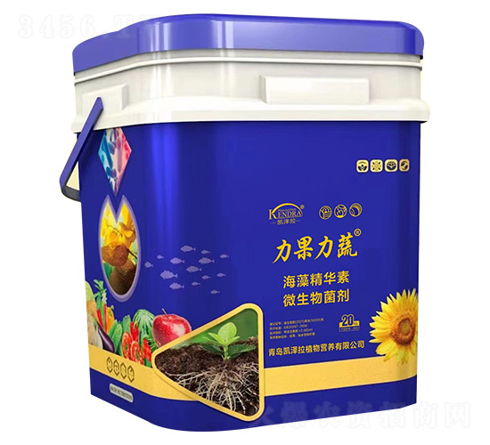 ���徫�A��΢�������-��������-�P����