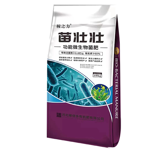 ����΢�������-��щ�-�ڱ���