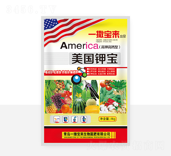 ����⛌�-һ������