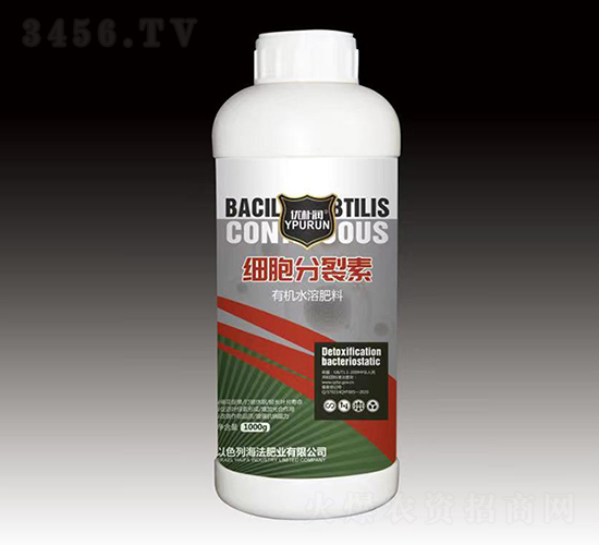 ����������-һ������