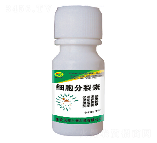 ����������-�ɰ�����