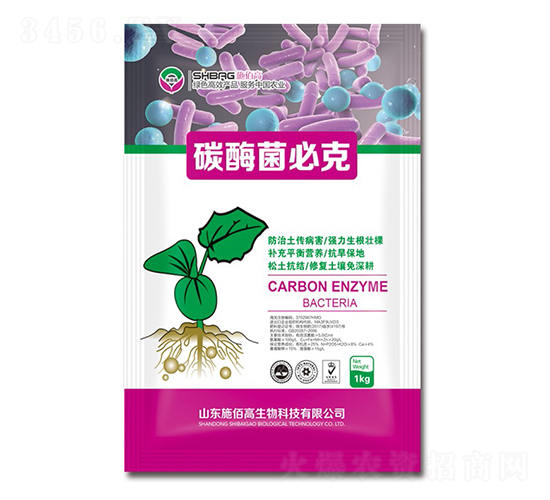 ̼ø���ؿ�-ʩ�۸�