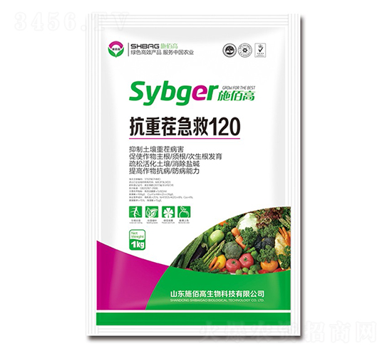 ���ز缱��120-ʩ�۸�