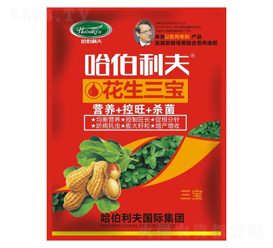 ��������-��������