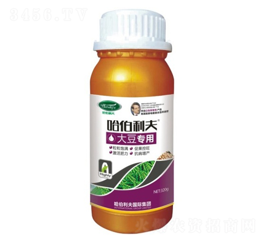 �󶹌���-��������