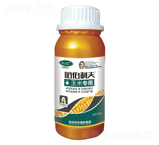 ���׌���-��������