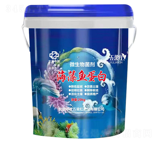 �����~����-�����t