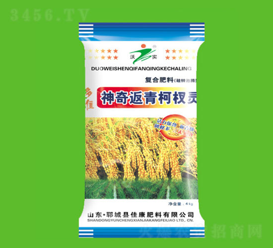 �����辷�-�ѿ�