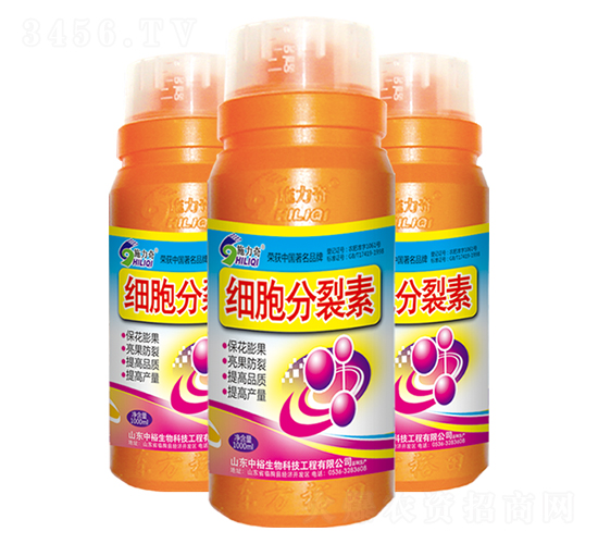 ��(x��)��������-ԣ��߿�����