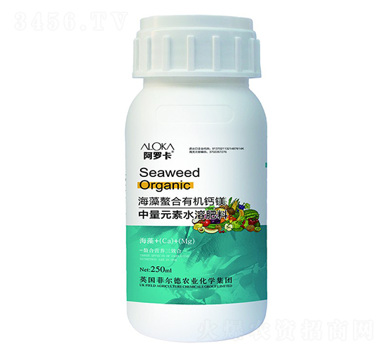 ���������ЙC�}�V-�����_-�Ɲ��r��