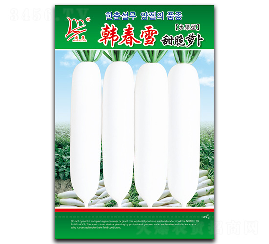 �n��ѩ����}��-�}���N��-�}�ʷN�I(y��)