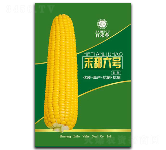 ������̖(h��o)-Ŵ���׷N��-�ٺ̹�