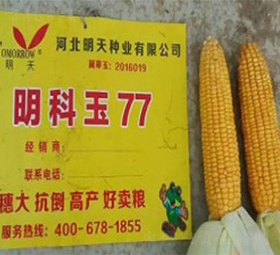 ������77-���׷N��-����N�I(y��)