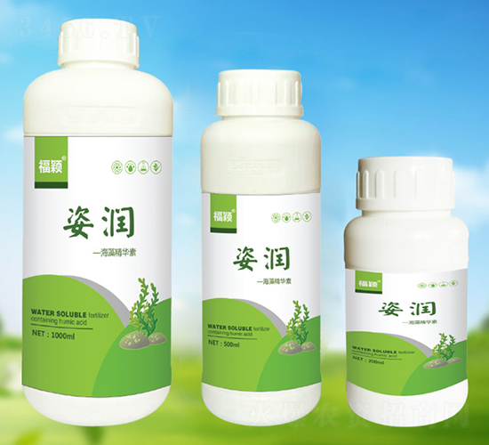 ���徫�A��-�˝�-����