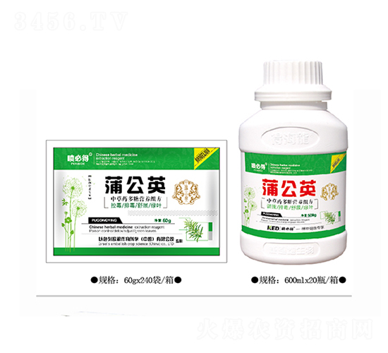 �ѹ�Ӣ-���ص�-������