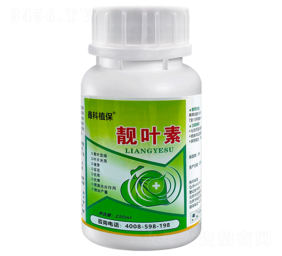 �n�~��-�S�~һ���G-�ο�ֲ��