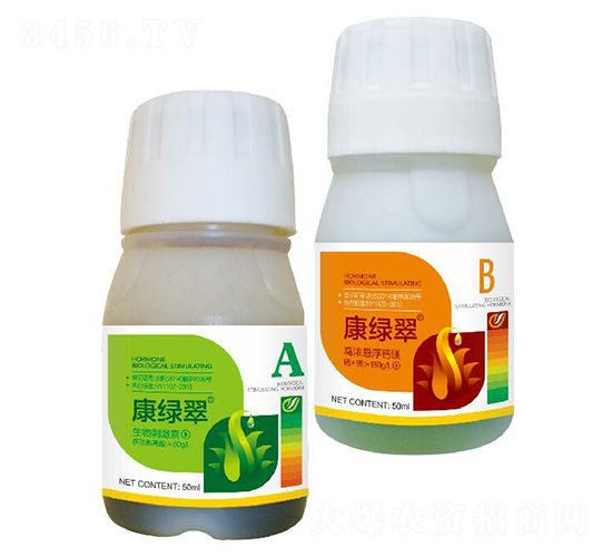 ���G��A+B-΢������