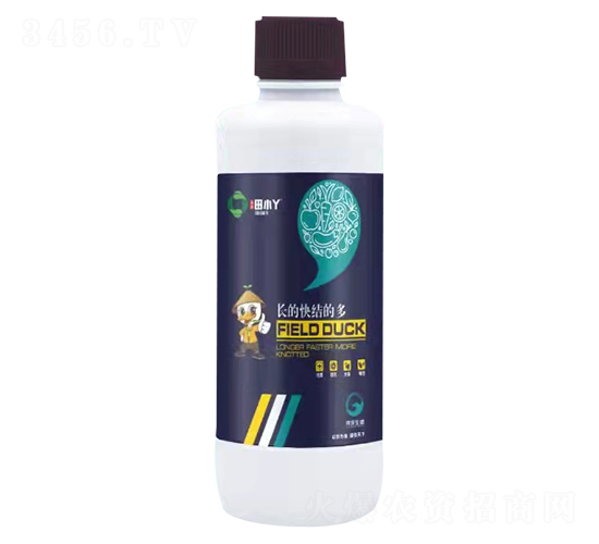 �L�Ŀ�Y(ji��)�Ķ�-��СѾ-�_������