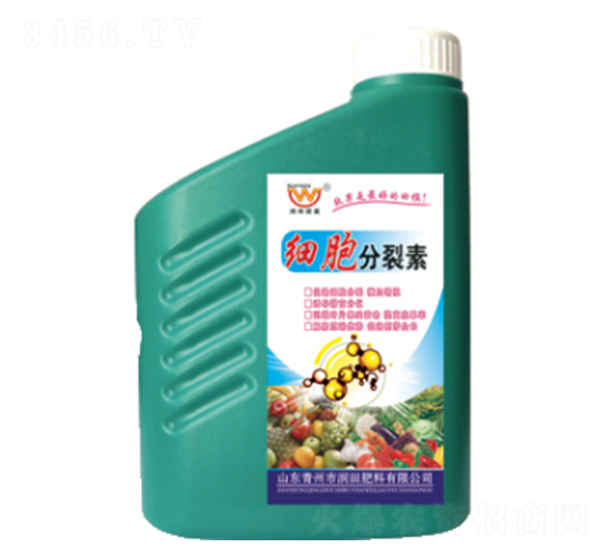 ��(x��)��������-�������