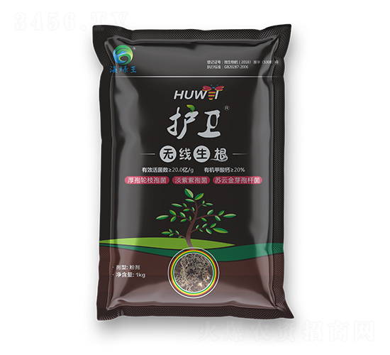 �o(h��)�l(w��i)���o������-���G��