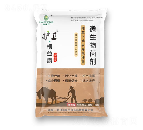 �o�l(w��i)�����濵-���G��