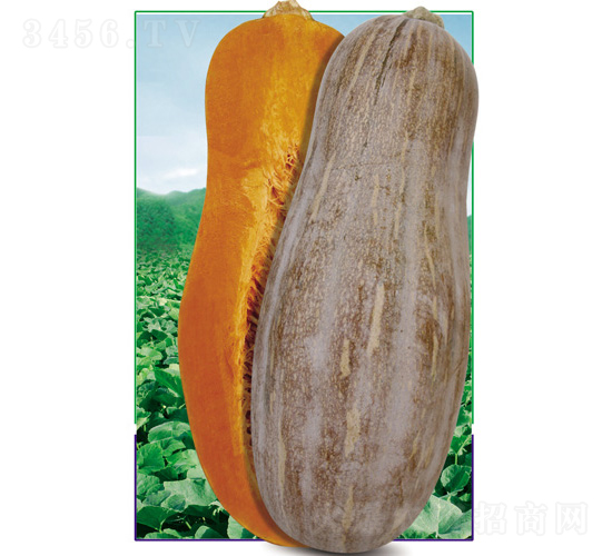 ���߽�Դ�۱��Ϲ�998F1-�ϹϷN��-�V�݁���