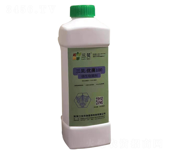 ��ؐ����(y��u)��100-��ؐ���S