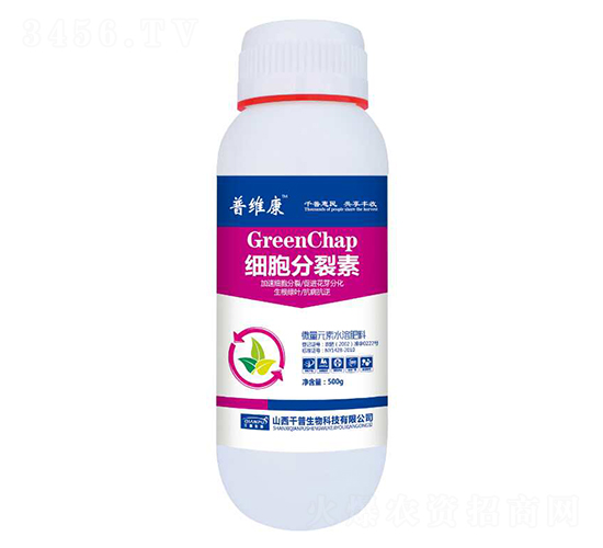 ��(x��)��������-�վS��-ǧ������