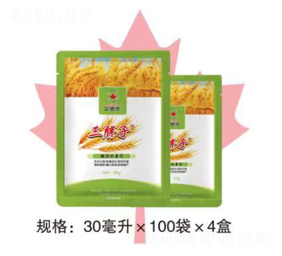 ������С�������~���-��˼��