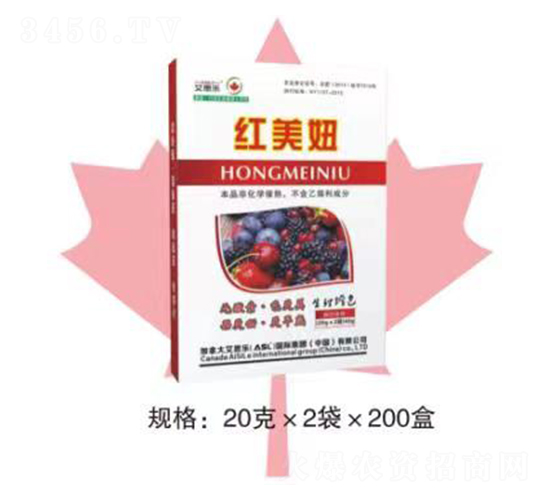 �t���-��˼��