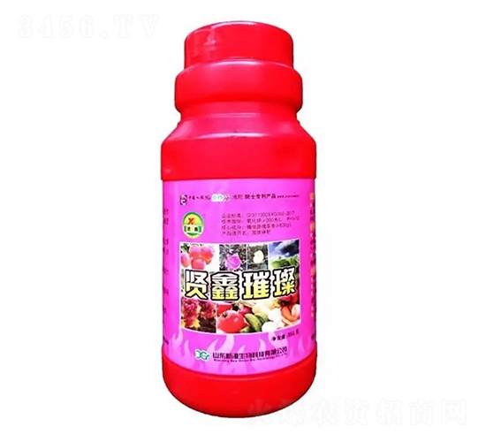 �t�����~���-�t��