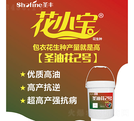 ʥ�ͻ�2̖(h��o)-�����N��-ʥ�S�N�I(y��)