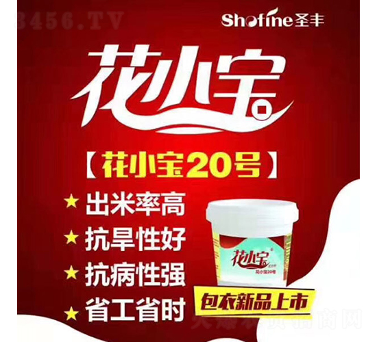 ��С��20-�����N��-ʥ�S�N�I(y��)