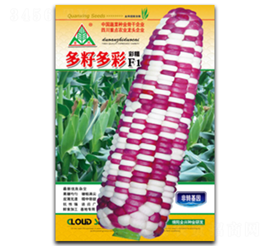 ���Ѷ��-Ŵ���׷N��-ȫ�d�N�I(y��)