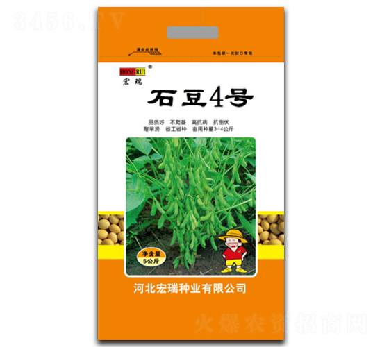 ʯ��4̖-�󶹷N��-����N�I(y��)