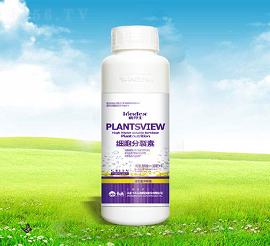 500�˼�(x��)��������-����