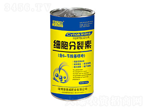 ��(x��)��������-���|ʩ���S��-�Z����