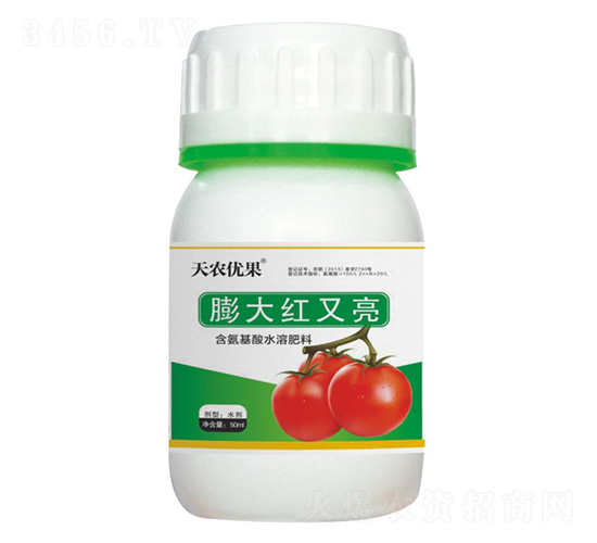 ���t�����t����-���r(n��ng)��(y��u)��-���r(n��ng)����