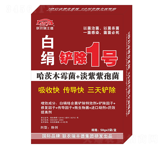 �׽����P��1̖-(li��n)�r(n��ng)���S��