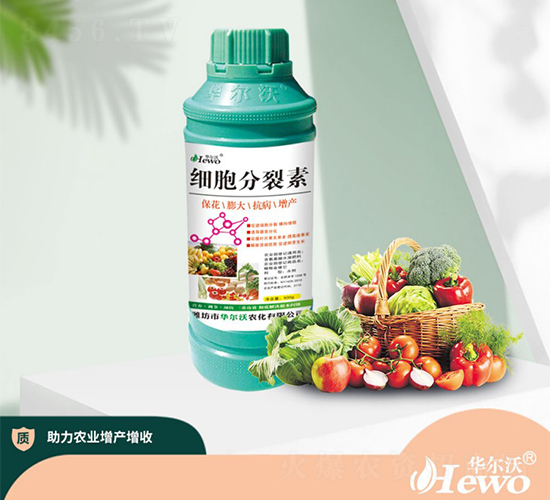 ��(x��)��������-�A����