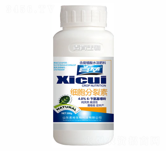 ��(x��)��������-ϲ��-��������