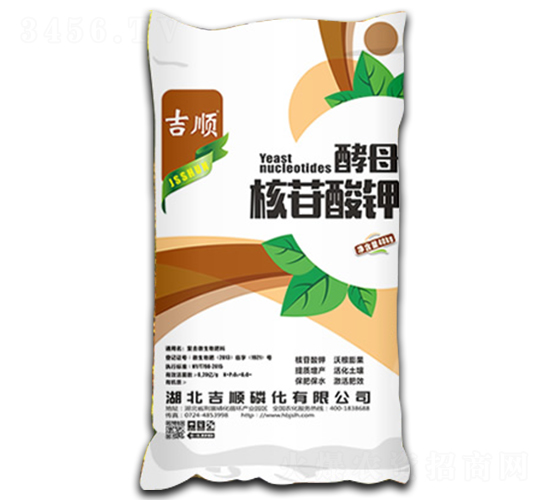 ��ĸ�������-���