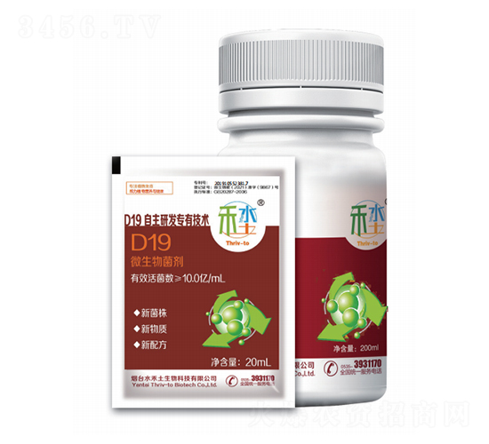 D19΢�������-������