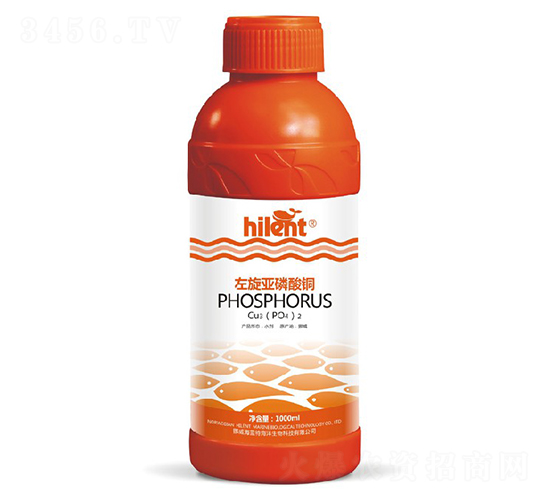 �����������~-���{��