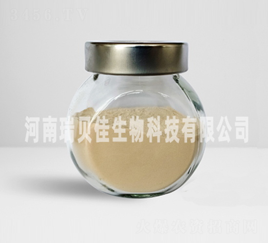 �����������i-��ؐ������