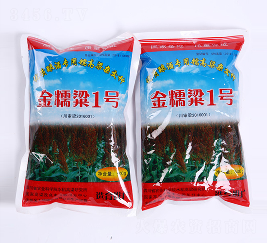 ��Ŵ��1̖-�����N��-������