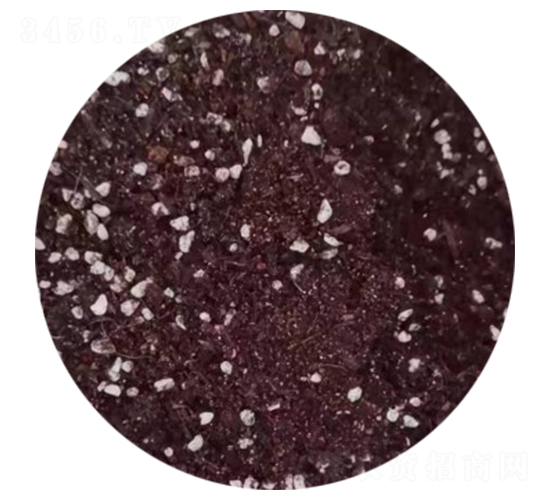 �����ЙC�ʣ��w����-�����r(n��ng)�I(y��)