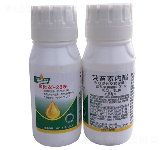 �|̦�؃�������-ԥ���r-���r